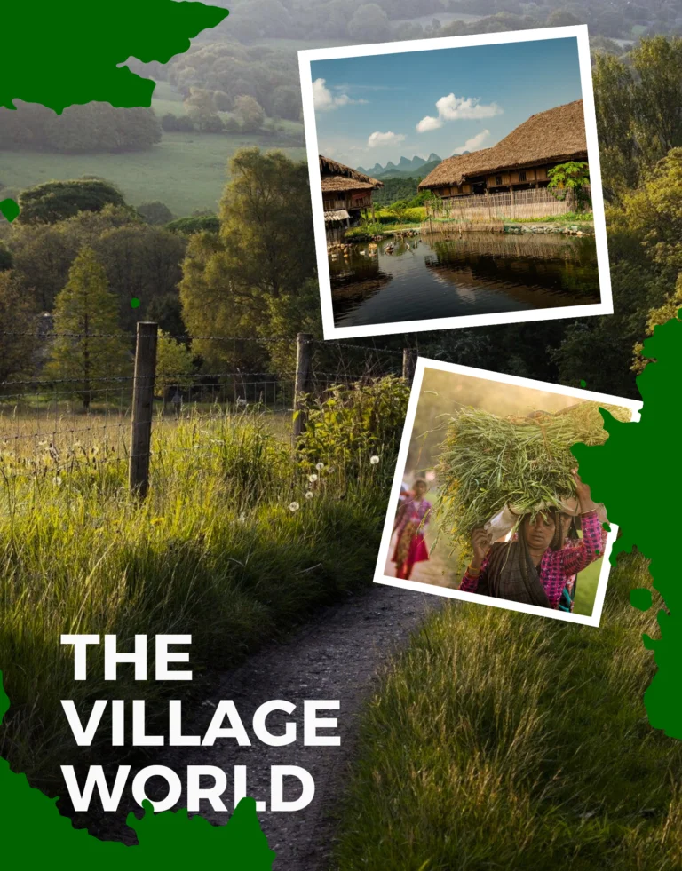 The Village World